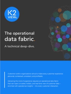 K2View Data Fabric technical deep-dive-3